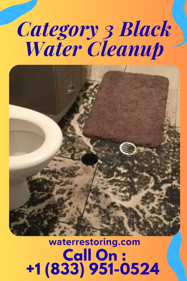 Category 3 Black Water Cleanup in Hurley, MO
