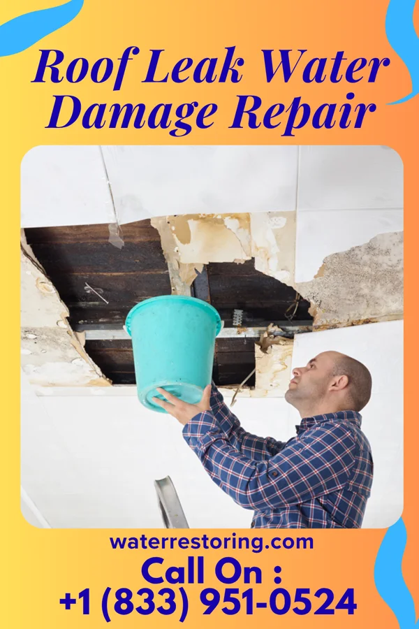 Roof Leak Water Damage Repair in Hurley, MO